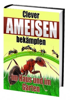 Ameisen clever bekämpfen