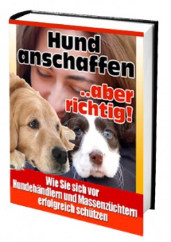 Hund anschaffen... aber richtig