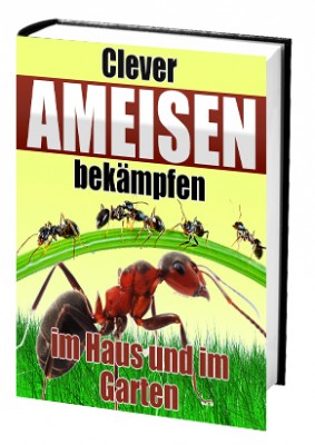 Ameisen clever bekämpfen