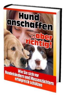 Hund anschaffen... aber richtig