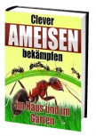Ameisen clever bekämpfen